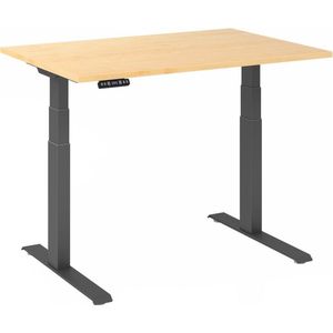 Sitz-Steh-Schreibtisch elektrisch 120x80cm Ahorn Silber