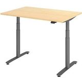 HAMMERBACHER VXDLR12 elektrisch höhenverstellbarer Schreibtisch ahorn rechteckig, T-Fuß-Gestell grau 120,0 x 80,0 cm