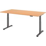 HAMMERBACHER XDSM2E elektrisch höhenverstellbarer Schreibtisch buche rechteckig, T-Fuß-Gestell grau 200,0 x 100,0 cm