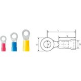 Weidmüller 9200190000 Ringkabelschoen Dwarsdoorsnede (max.): 2.50 mm² Gat diameter: 6.4 mm Deels geïsoleerd Blauw 100 stuk(s)