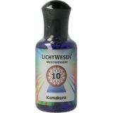 LichtWesen Kamakura Olie - 10ml - Nummer 10 - Doelgericht Handelen