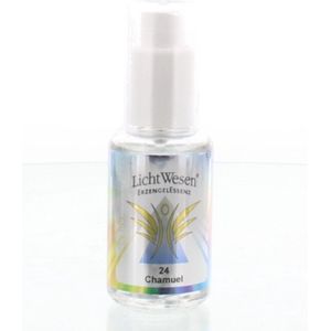 Lichtwesen Chamuel tinctuur 24 30 ml