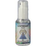 Lichtwesen - Jaarmix 2023 - Tinctuur - 50ml