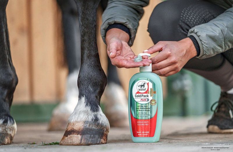 Leovet Cold Pack Plus Overige - 500 Ml