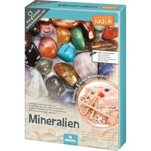 Moses Uithakset Expedition Natur Edelstenen Junior 12-delig