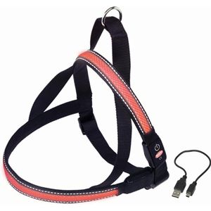 Nobby Lichtgevende Tuig - Hond - Rood - Buikband: 80 tot 100 cm - Borstband: 56 cm
