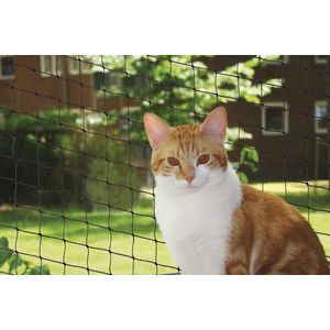 Nobby Veiligheidsset voor katten, 2 x 3 m, zwart