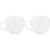 Hi Premium Theeglazen met dubbele wand - 2 Stuks