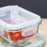 HI - Vershoudbakjes - Glas - Set van 3 - Luchtdicht - Met Deksel en Clips