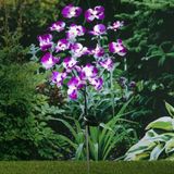 HI Tuinlamp Orchidee Solar LED 75 cm - Sfeervolle Verlichting voor Buiten