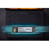 Intenso MI500 SSD - 1 TB - M.2 - PCIe 4.0