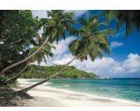 Komar Fototapete »Tropical Sea - Größe 368 x 254 cm«, bedruckt, Wohnzimmer, Schlafzimmer