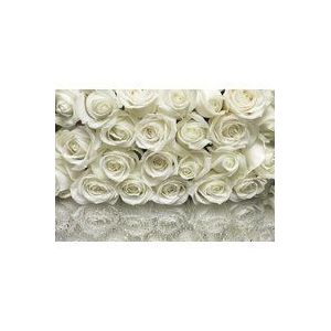 Komar - Fotobehang - A La Rose - Papier - 368cm x 254cm - 8 Delen