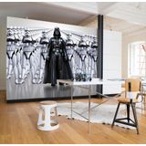 Komar Star Wars Imperial Force Darth Vader Stormtrooper behang muurschildering, Vinyl, zwart/wit, 368x0,2x254 cm