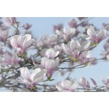 Komar 8-738 368 x 254 cm Magnolia Bloem Bloemen Behang Muurschildering - Roze (Pack van 8)