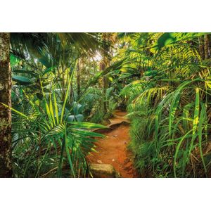 Komar Fotobehang Jungle Trail 368x254 cm