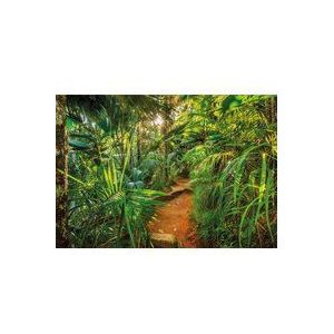 Komar Fotobehang Jungle Trail 368x254 cm