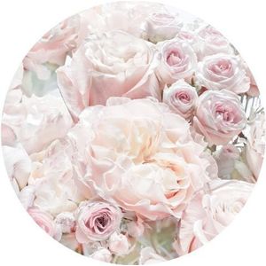 Komar DOT rond en zelfklevend vliesfotobehang - Pink and Cream Roses - Ø 125 cm - rozen, bloemen, behang, wandtattoo, slaapkamer, woonkamer, wanddecoratie - D1-072