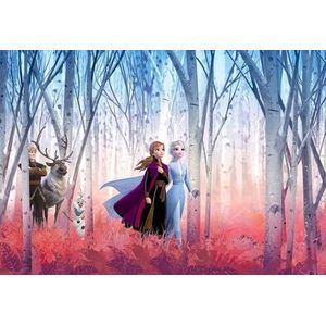 Disney - Frozen Friends Forever - Fotobehang - Blauw Roze Meerkleurig - Papier