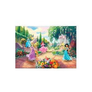 Komar Disney fotobehang | Princess Park | Afmetingen: 368 x 254 cm (breedte x hoogte) | meisjes, prinses, behang, kinderen, muur, kinderkamer, decoratie | 8-4109