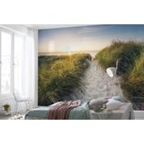 Komar Vlies fotobehang - Way to the Beach - grootte 368 x 248 cm, 4-delig inclusief lijm - behang, woonkamer, slaapkamer