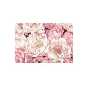 Komar Vlies fotobehang - Peonies - afmeting 368 x 254 cm (breedte x hoogte), 4 delen, inclusief lijm - behang, bloemen, bloemen, woonkamer, slaapkamer - XXL4-091