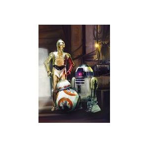 Sunny Decor - Star Wars - fotobehang THREE DROIDS - 184 x 254 cm - behang, muurdecoratie, C-3PO, BB- 8, R2-D2 - SD447