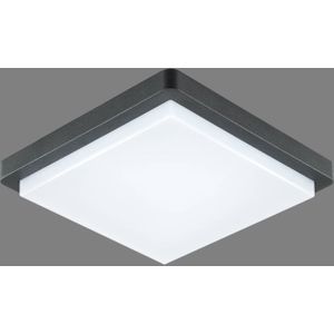 EVN Tectum LED buiten plafondlamp hoekig 150graden
