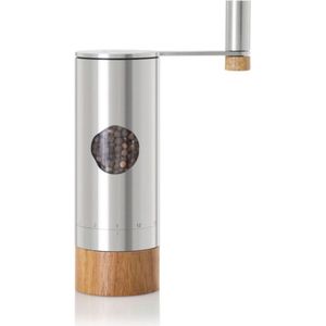 Peper- of zoutmolen PowerMill, 20 cm, Zilver, RVS - AdHoc