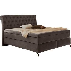 Jockenhöfer Gruppe Boxspringbett "Scarlett", mit Kaltschaum-Topper