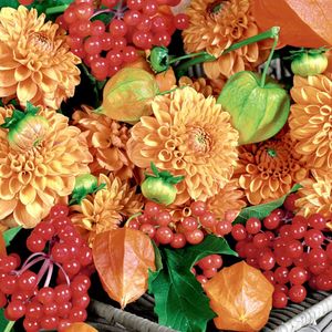 papieren lunch servetten - Flowers & fruits