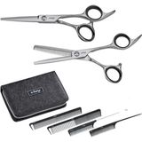 E-Kwip - Starterset 2.0 - Kappersscharen - Roestvrijstaal - Inclusief Kam en Etui