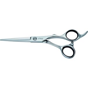 E-Kwip Knipschaar Education 55 Zilver 5,5inch