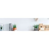 Aoc 24B2XD - 24 Inch Full HD Monitor - IPS Paneel - Randloos Ontwerp