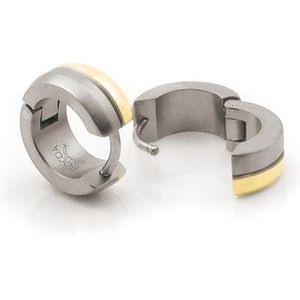 Boccia Titanium - Oorringen - Bicolor - Puur Titanium - Ø 12mm