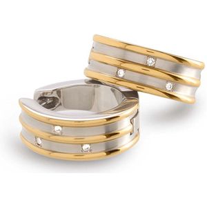 Boccia Titanium - 05047-03 - Oorringen - Bicolor - 6 mm