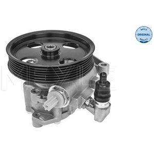 Servo Pomp Mercedes-Benz Meyle 014 631 0025