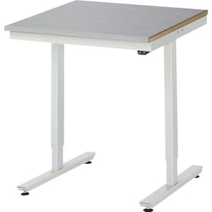 RAU Werktafel, elektrisch in hoogte verstelbaar, roestvast stalen toplaag, draagvermogen 150 kg, b x d = 750 x 800 mm