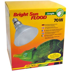 Lucky Reptile Bright Sun Flood Jungle - 70 W metaaldamplamp voor E27-fittingen - terrariumlamp met daglichtspectrum - warmtelamp met UVA- en UVB-straling - UV-lamp voor tropische reptielen