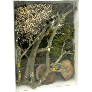 Garneck Kurkschors achterwand voor terrarium, 100 x 50 cm, 2 stuks, natuurlijke boomschors-look, ideaal klimoppervlak voor reptielen zoals, bartagame en schildpadden