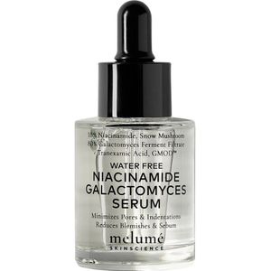 melumé Water-free Niacinamide Galactomyces Serum Anti-aging serum 30 ml Dames
