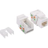 Keystone - RJ45 - Cat5e U/UTP - Verguld