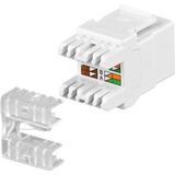 Keystone - RJ45 - Cat5e U/UTP - Verguld