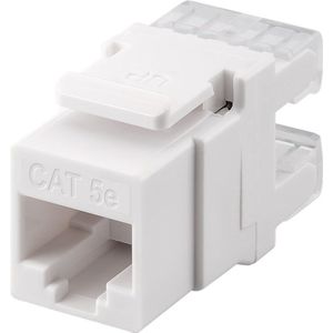 Keystone - RJ45 - Cat5e U/UTP - Verguld