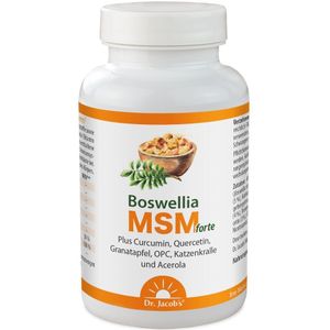 Tuingereedschap - Hoogwaardige Tuinschaar - Roestvrijstaal - Ergonomisch Handvat