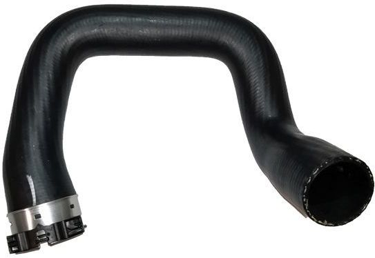 BUGIAD Laadluchtslang FIAT 81752 51881819,51969460