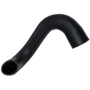 BUGIAD Laadluchtslang FIAT 81755 1366816080