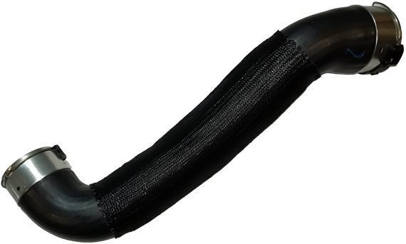 BUGIAD Laadluchtslang NISSAN 81848 144634EB0B,144634EB0C