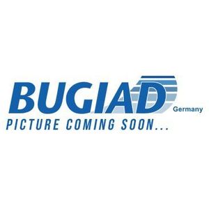 BUGIAD Laadluchtslang IVECO 82387 5801887889,5801312768