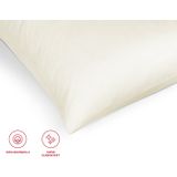 fleuresse Kissenbezug Colours Mako Satin, 100% Baumwolle, mit Reißverschluss, (2 Stück), Mako Satin, glänzend, glatt, Premium Qualität